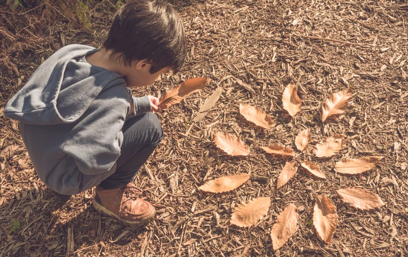 A Day in the Life at Forest School