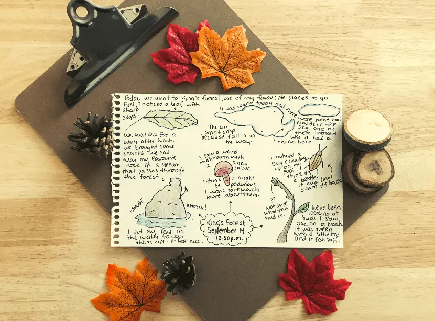 This is an image of a nature journal in warm tones surrounded by autumn leaves. It has drawings of mushrooms and other things accompanied by notes and observations