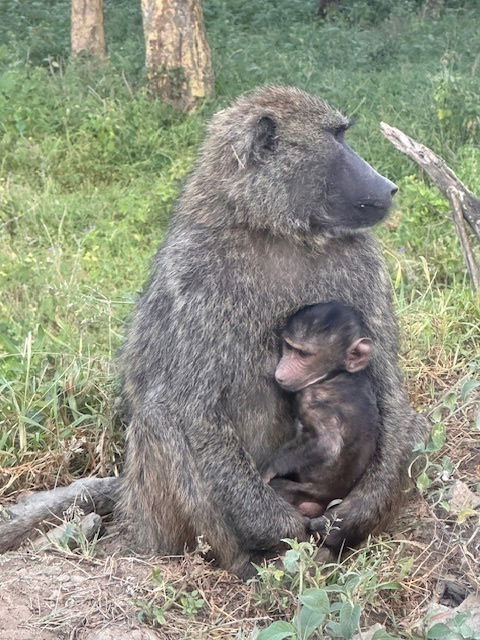 Mother and child