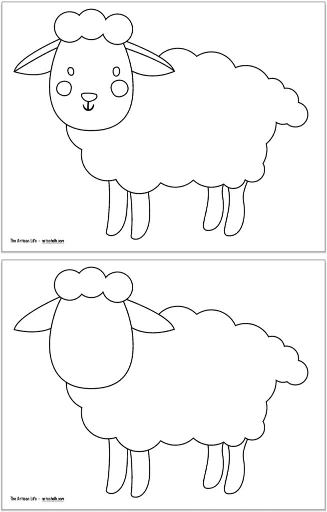 Sandy NG  Sheep
