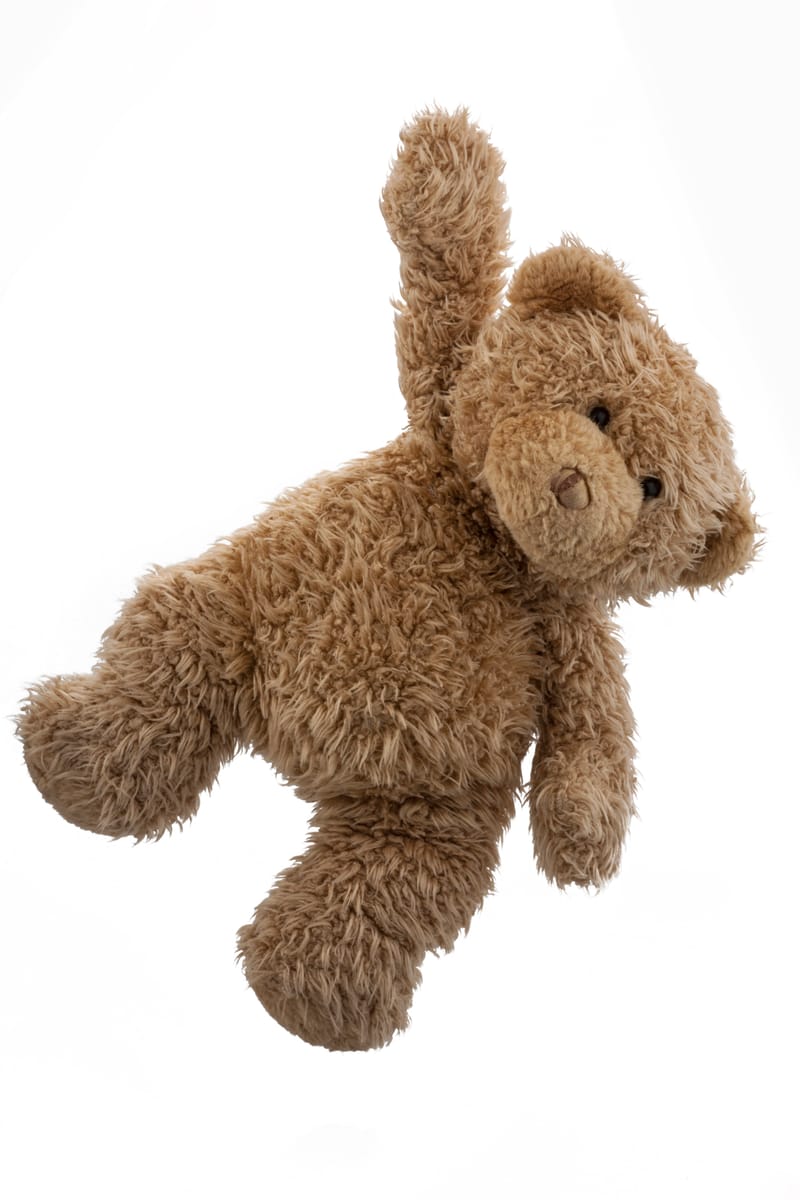 Embroidery NG charity sew teddy bear