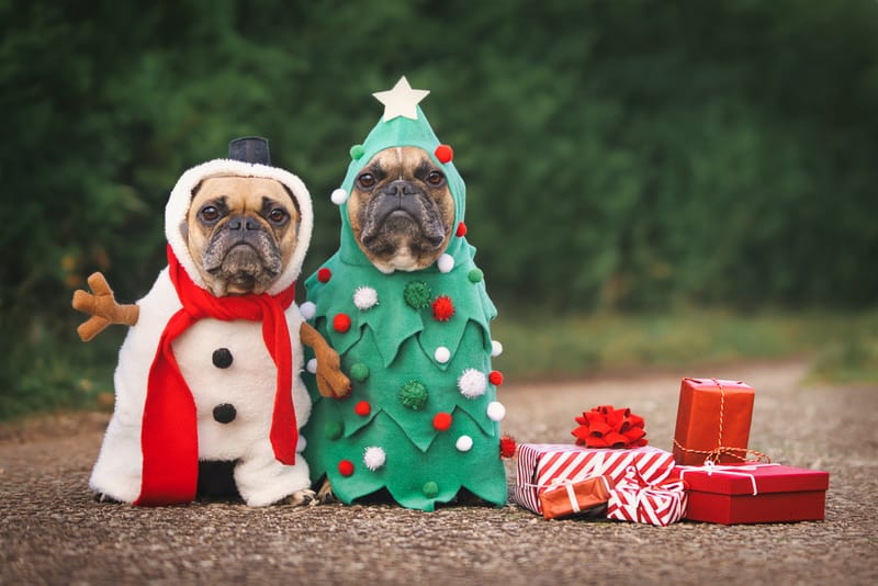 Ogden NG Christmas Social & planning