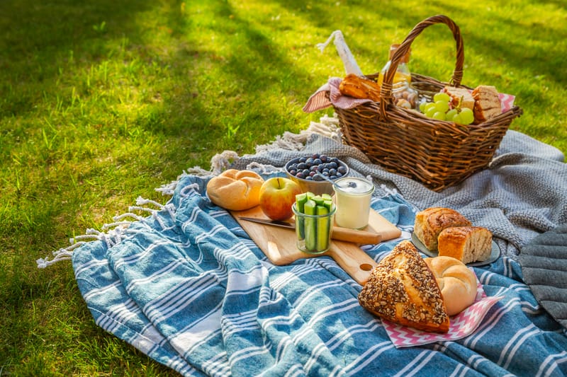 Chapter summer picnic
