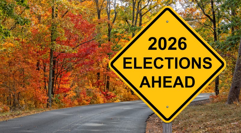 Vintage NG  Group leader elections