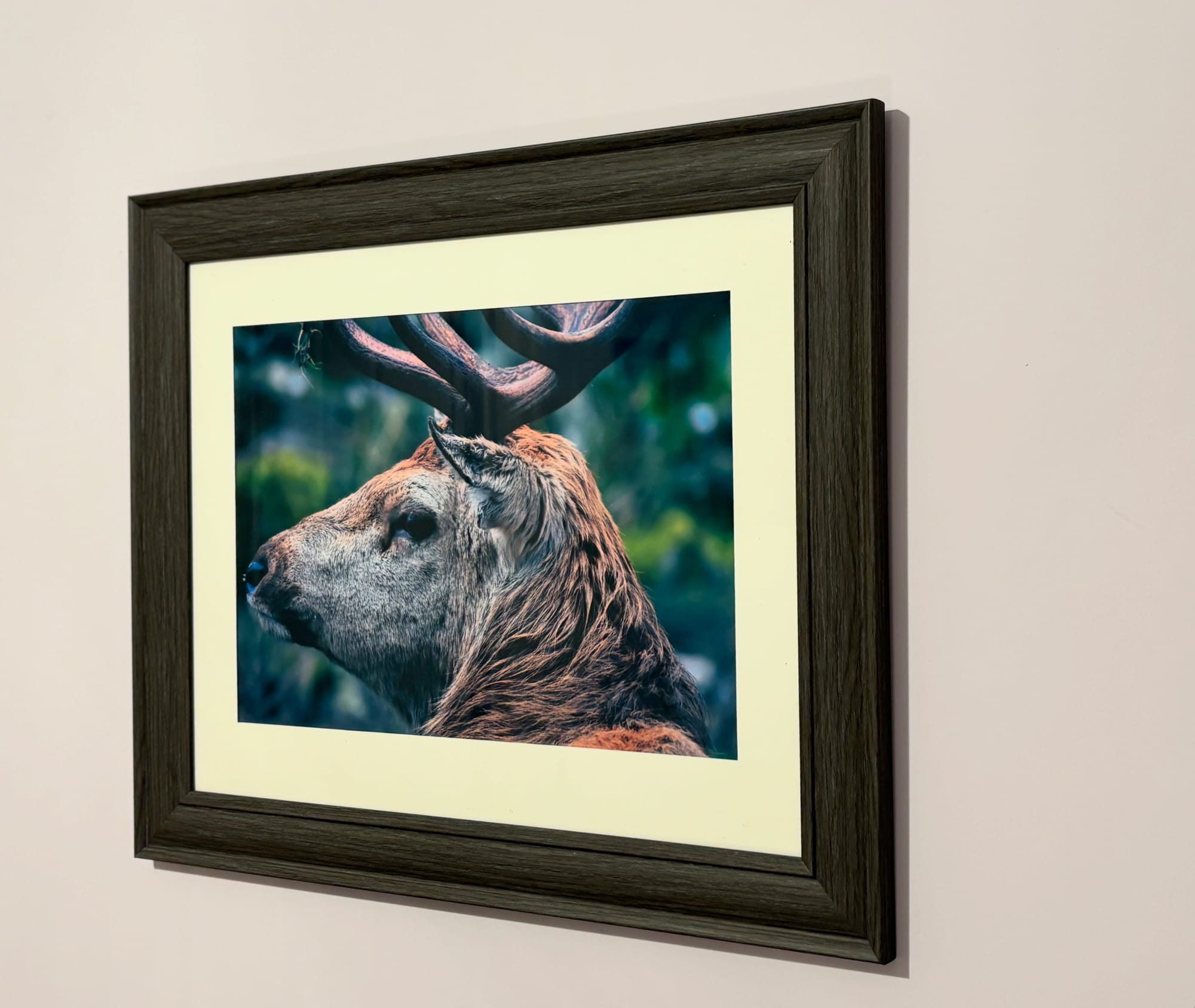 Photography size 210mm x 297mm with mount displayed in A3 frame.