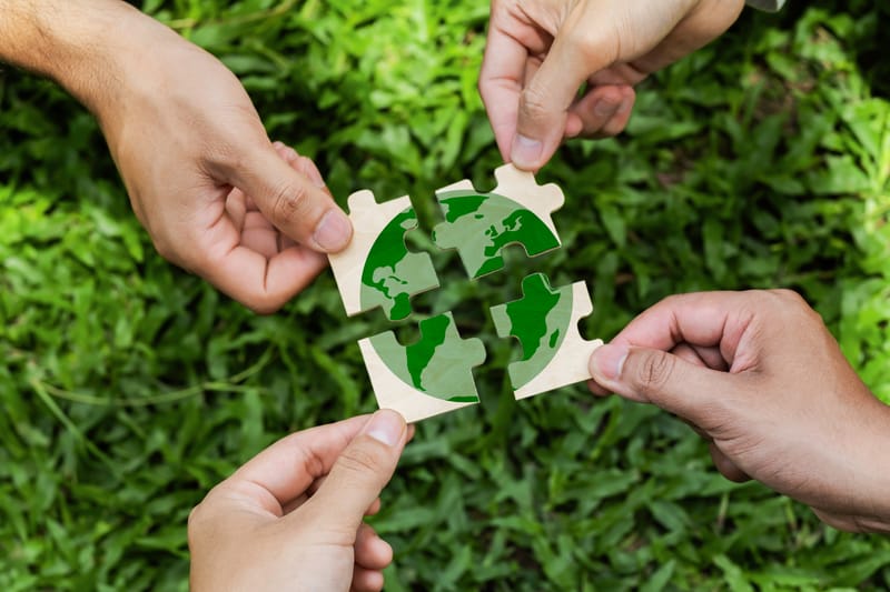 Questions or Curious? Interested in partnering with us?