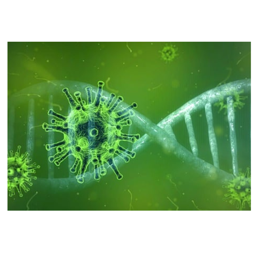 𝑨 𝒕𝒐𝒖𝒕𝒆𝒔 𝒄𝒆𝒍𝒍𝒆𝒔 𝒒𝒖𝒊 𝒐𝒏𝒕 𝒖𝒏 𝒑𝒂𝒑𝒊𝒍𝒍𝒐𝒎𝒂𝒗𝒊𝒓𝒖𝒔 (𝑯𝑷𝑽), 𝒋𝒆 𝒗𝒆𝒖𝒙 𝒗𝒐𝒖𝒔 𝒓𝒂𝒔𝒔𝒖𝒓𝒆𝒓..