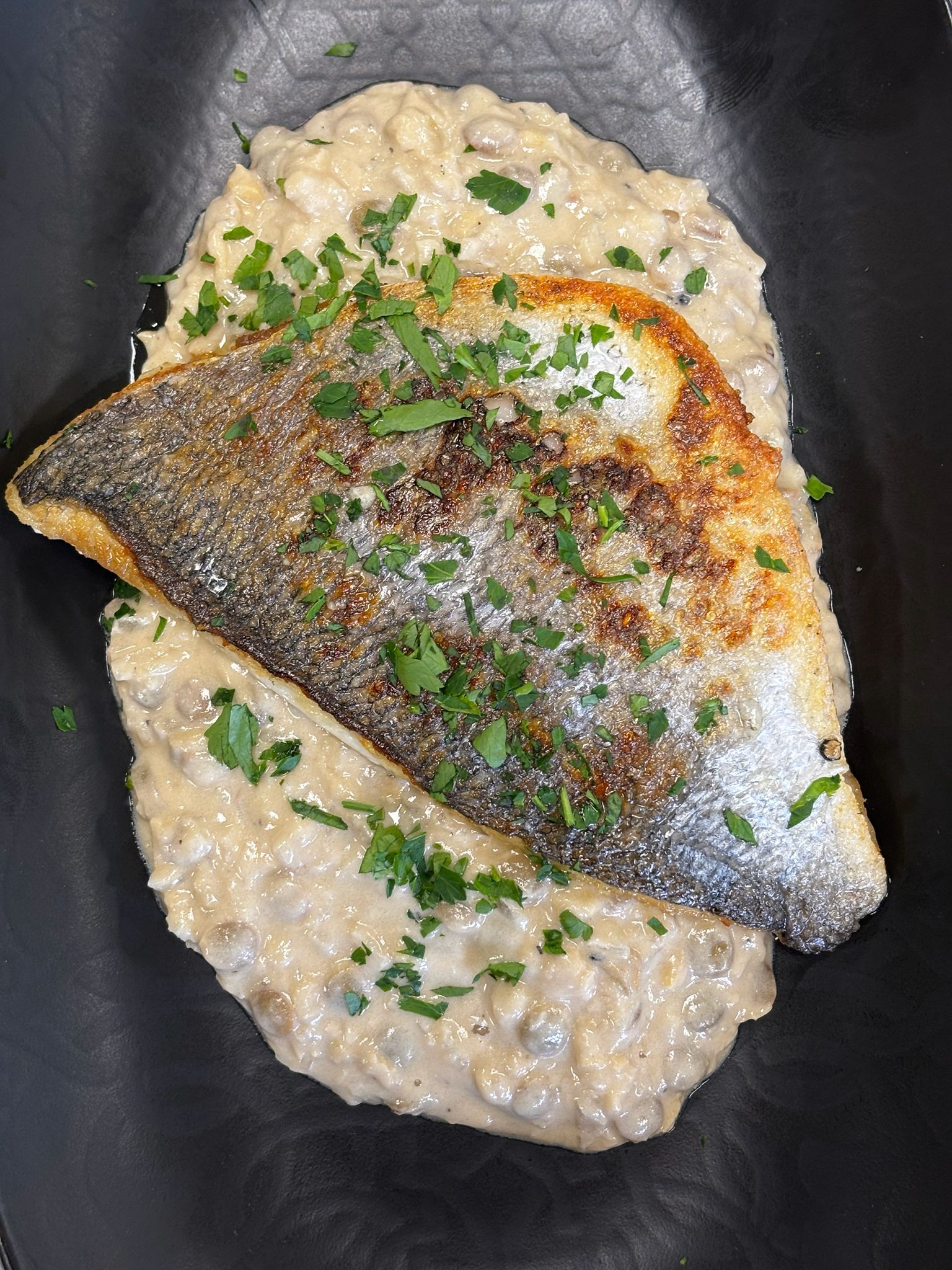 سيتم تحميل صور جديدة قريباً.