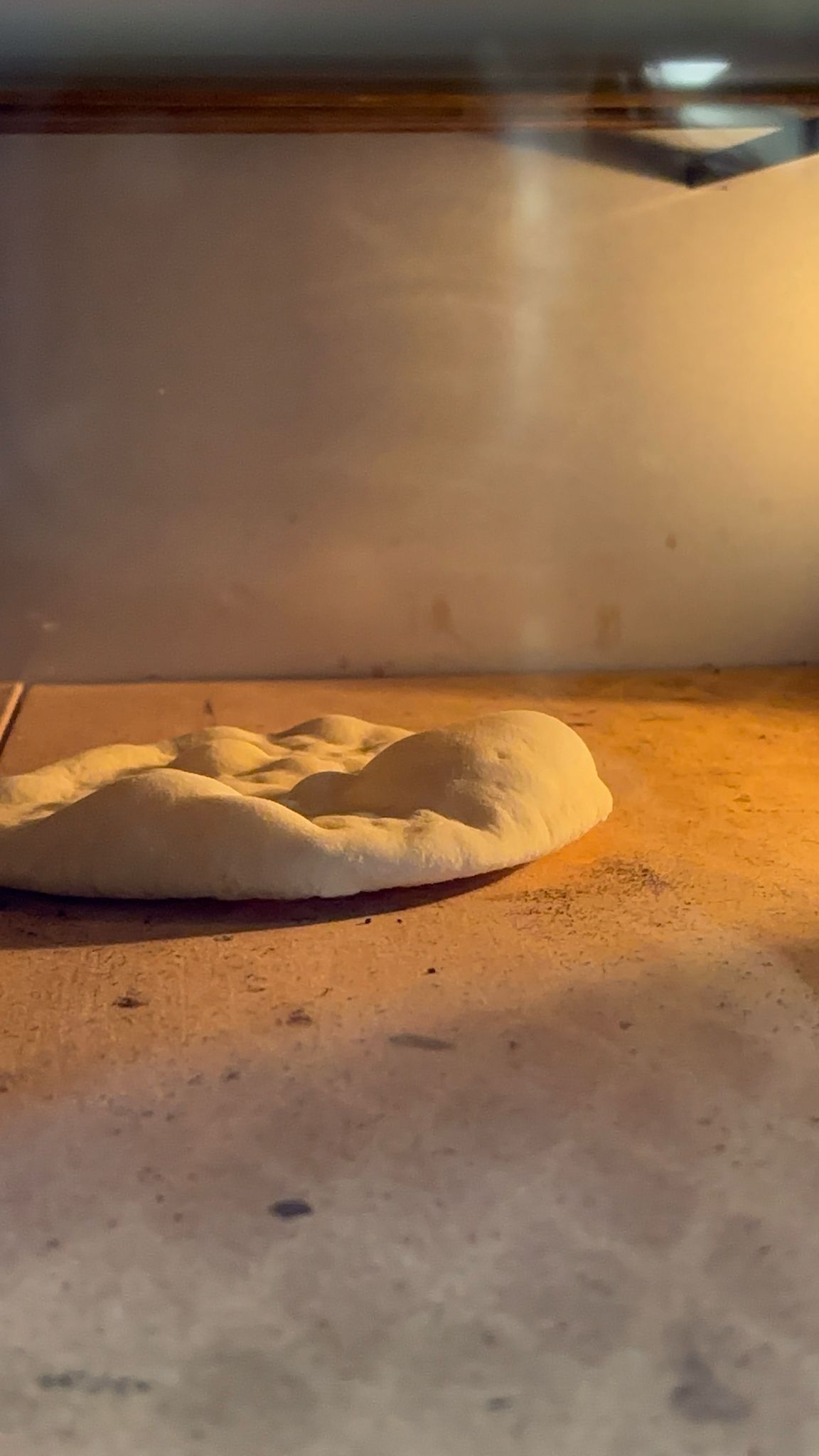 سيتم تحميل صور جديدة قريباً.