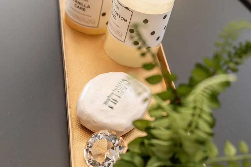 הבית של שרון וצביקה ביערית