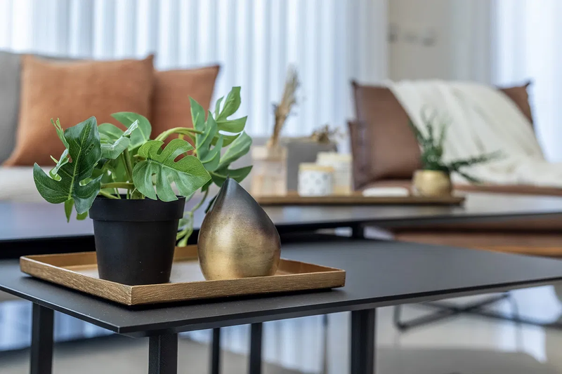 הבית של שרון וצביקה ביערית