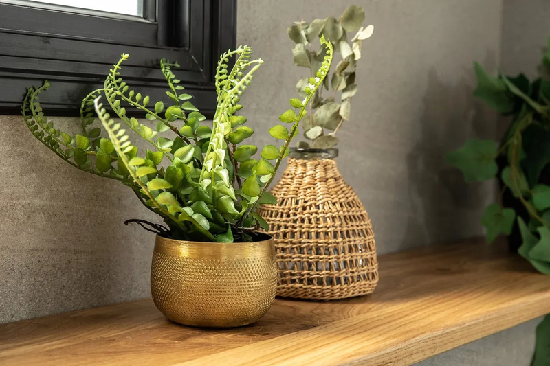 הבית של שרון וצביקה ביערית