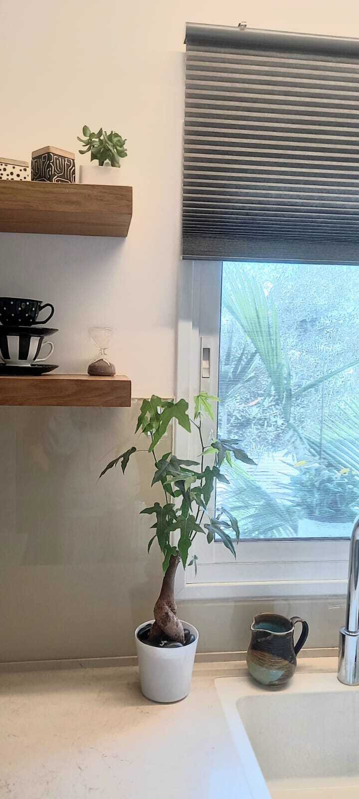 הבית בפרדס חנה-כרכור