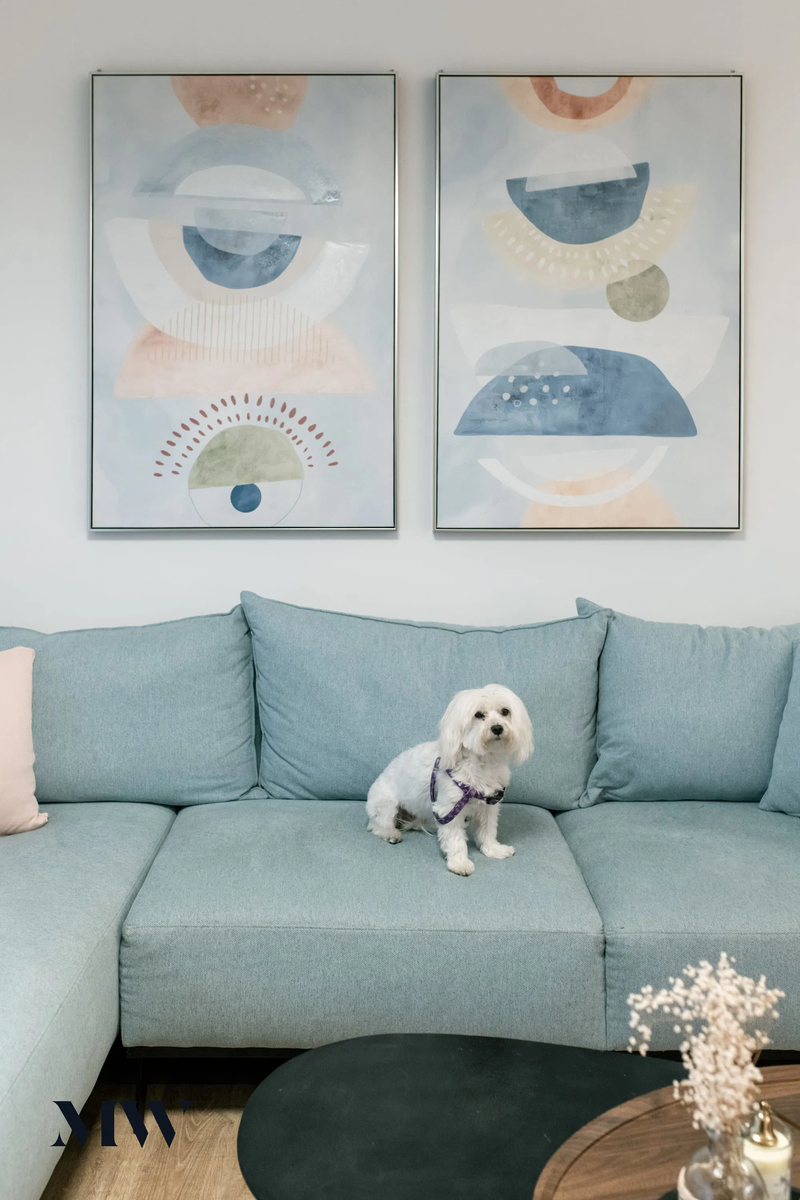 שיפוץ כללי לדירה של הילה הרשקוביץ  מזיכרון יעקב