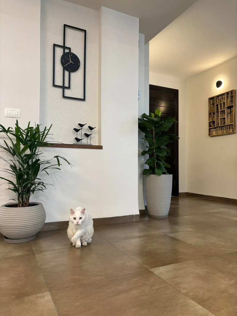 שדרוג חלל ציבורי בבית באחוזת ברק משפחת רוזנברג