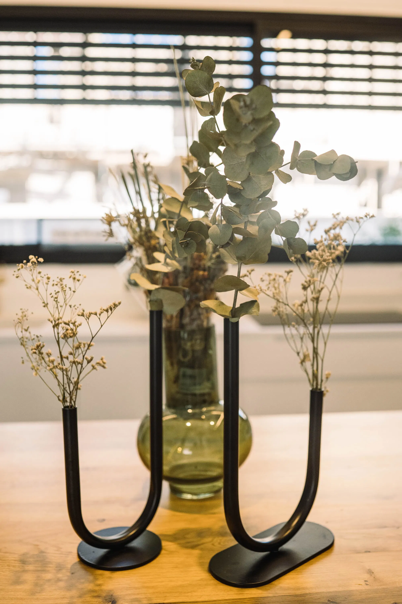 הבית של פאני בעפולה