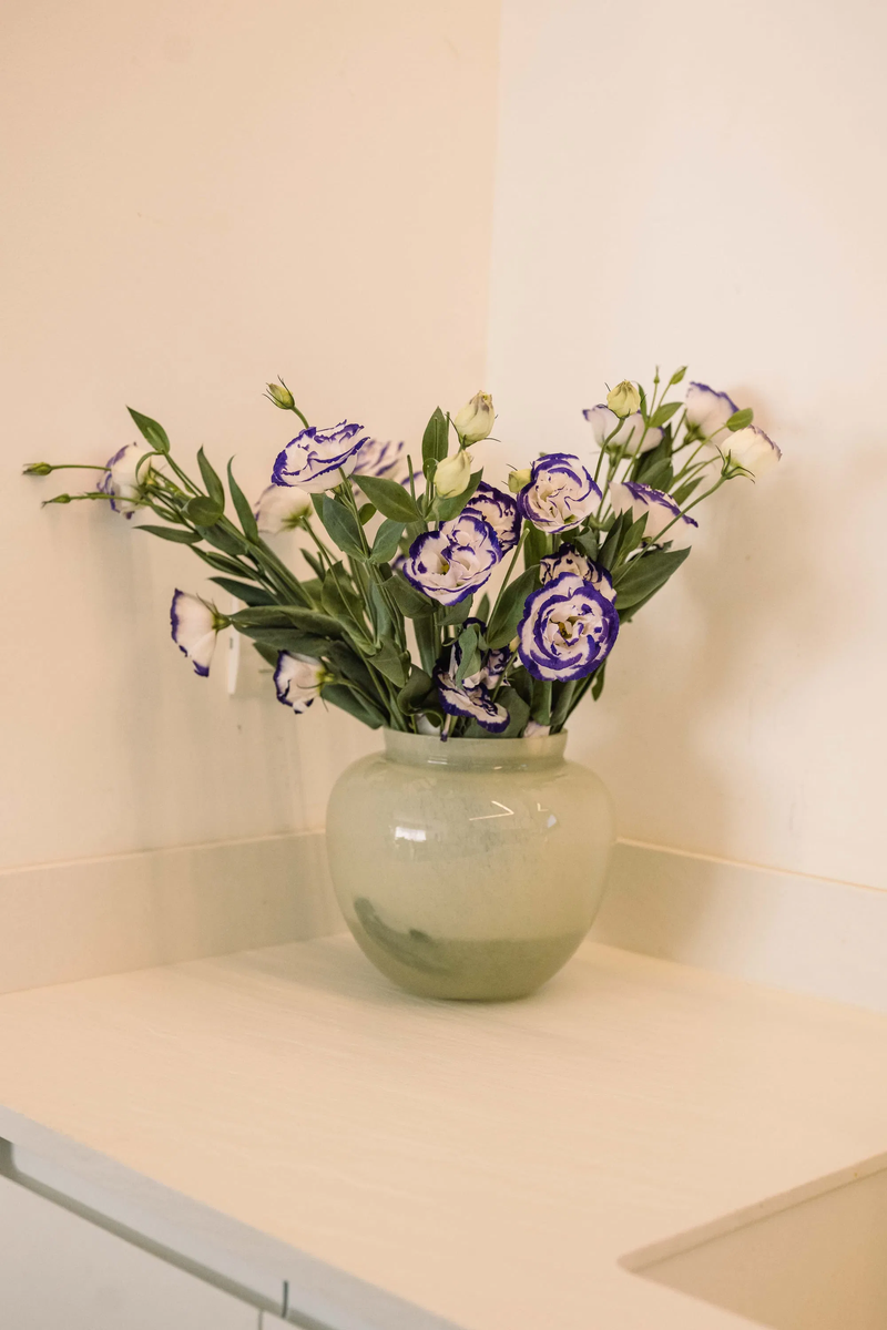 הבית של פאני בעפולה