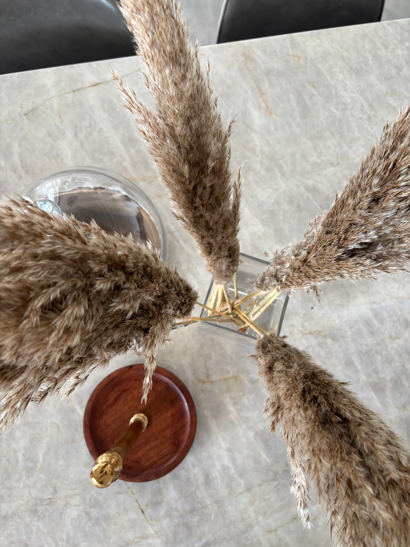 הבית של אורלי בפתח תקווה