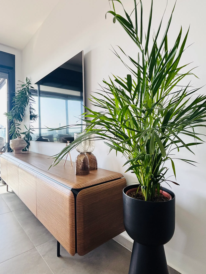 הבית של אורלי בפתח תקווה