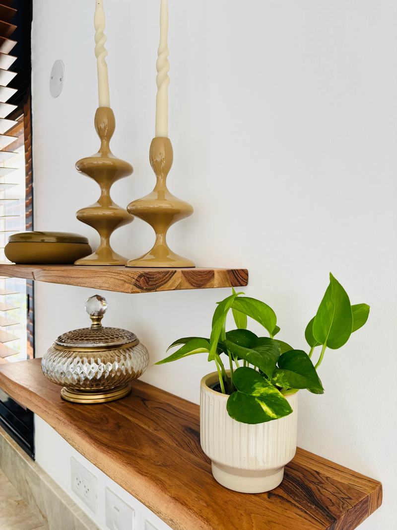 הבית של אורלי בפתח תקווה