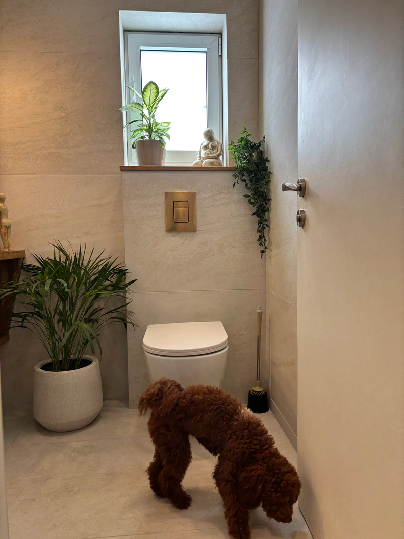 שיפוץ חדרי רחצה עינת ואיציק פרדס חנה