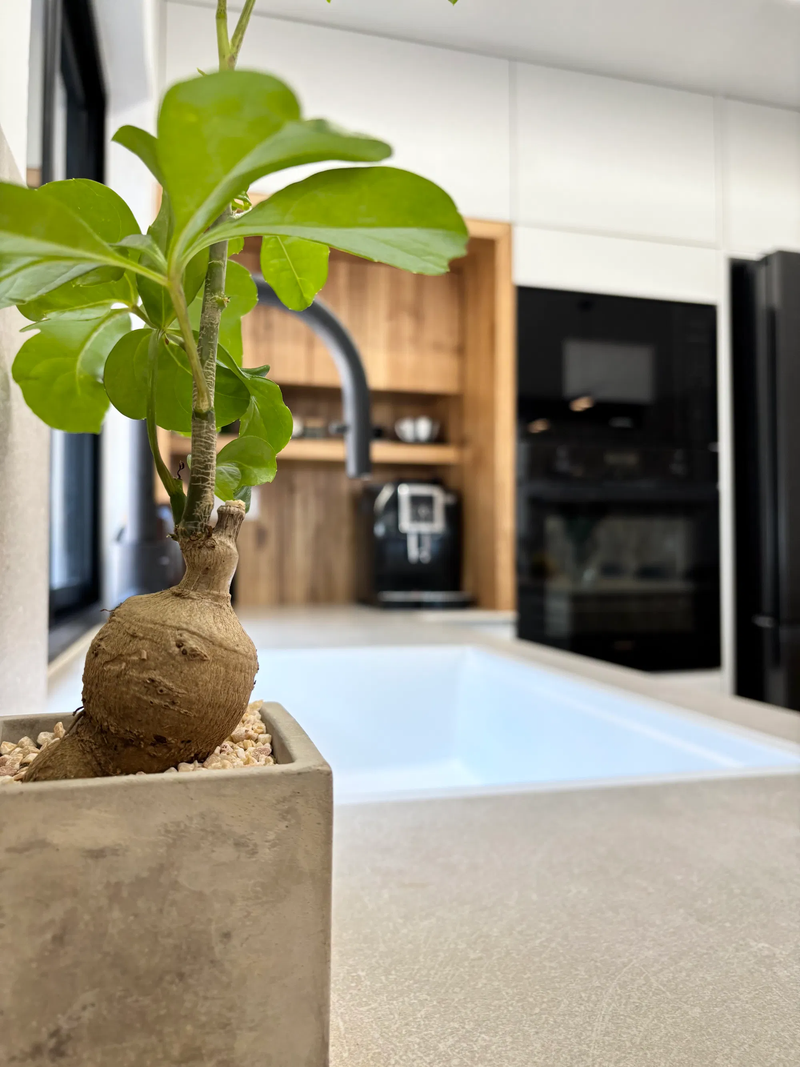 הבית של מירי ותומר וורמוט פרדס חנה