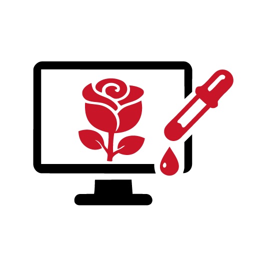 Projekt i dopracowanie