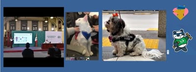 ODS 3 SALUD Y BIENESTAR