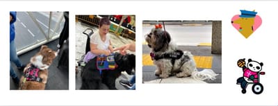 ODS 10 REDUCCIÓN DE LAS DESIGUALDADES