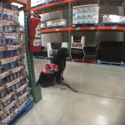 Ley Federal de Protección al Consumidor