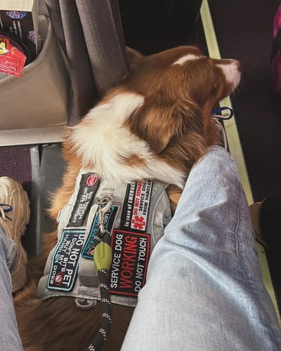 AGENCIA DE AVIACION CIVIL CIRCULAR OBLIGATORIA AV-07-8/07R4