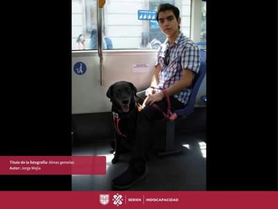 LEY GENERAL DE MOVILIDAD Y SEGURIDAD VIAL