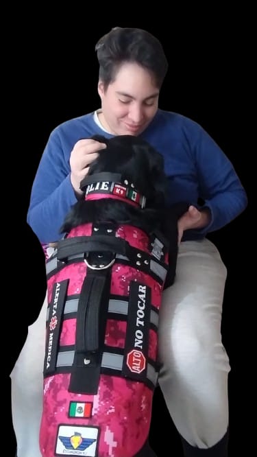 ACUERDON POR EL CUAL SE EMITEN LOS CRITERIOS Y ESPECIFICACIONES TECNICOS PARA LA ACCESIBILIDAD DE LAS PERSONAS CON DISCAPACIDAD A LOS INMUEBLES D ELA ADMINISTRACIÓN PUBLICA