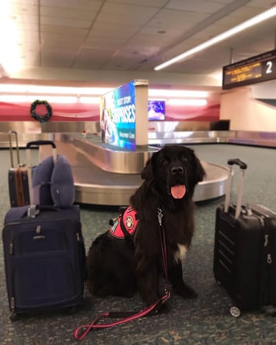 NOM-EM-121-SCT3-2017