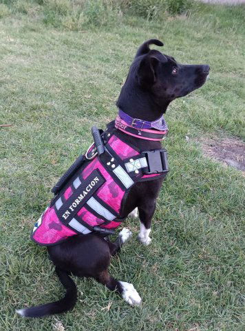 Marco Jurídico Nacional. CONSTITUCIÓN POLITICA DE ESTADOS UNIDOS MEXICANOS