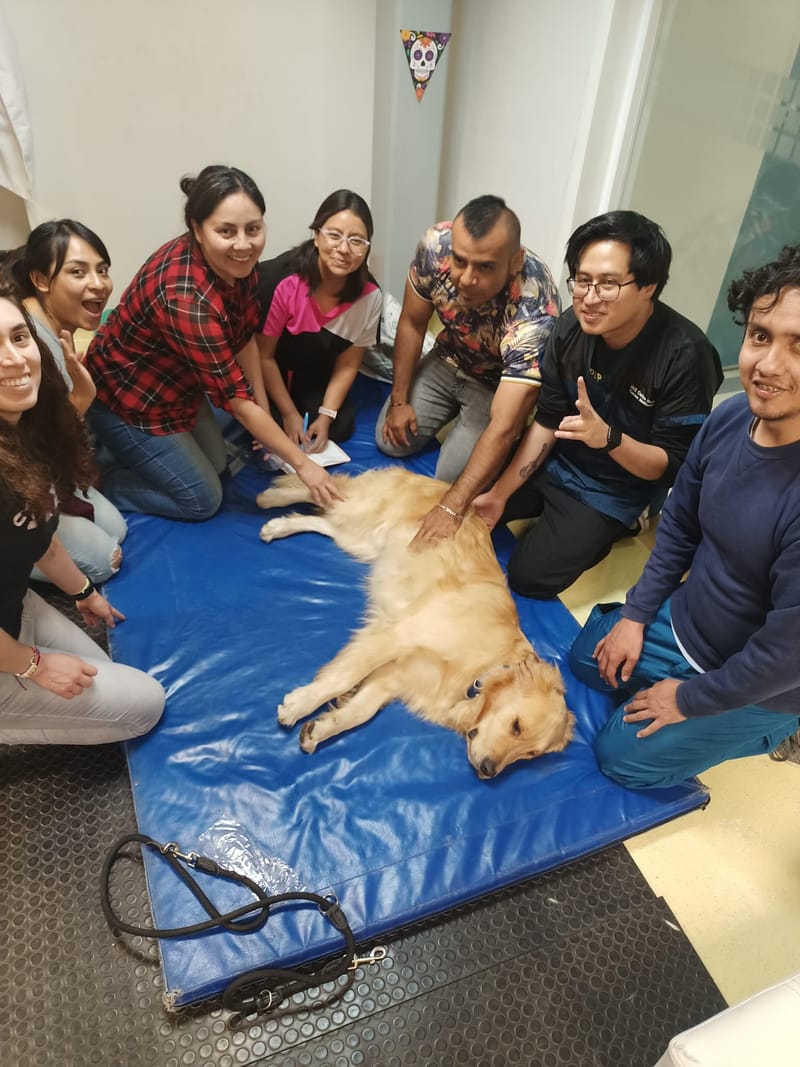 Procedimiento para realizar solicitud de IAA