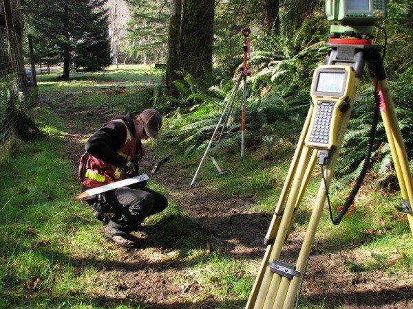 📐 DEVELOPMENT SITE TREE ASSESSMENT