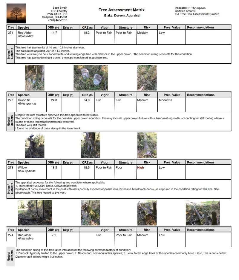 📋 ARBORIST REPORTS &amp; CONSULTATION