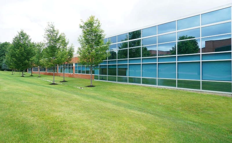 🏢 COMMERCIAL PROPERTY TREE CONSULTING