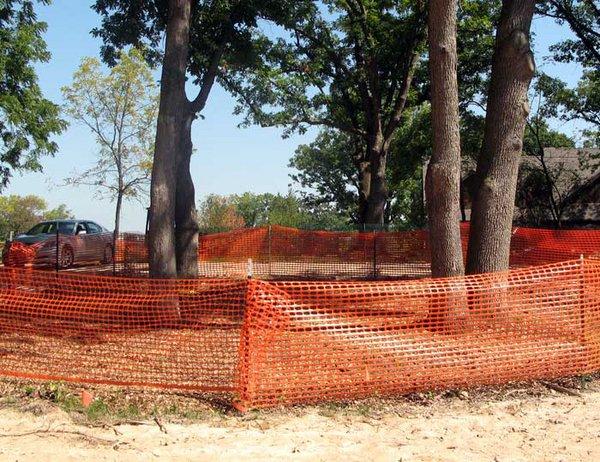 🏗️ TREE PRESERVATION PLANNING
