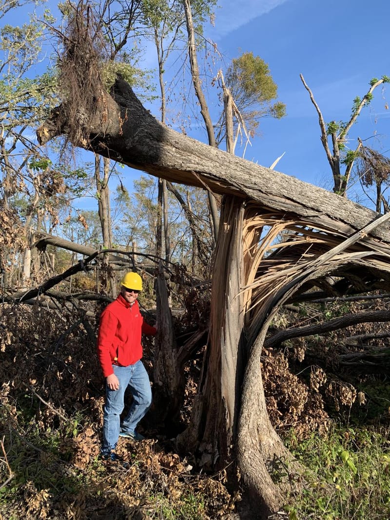 🌪️ STORM DAMAGE TREE ASSESSMENT
