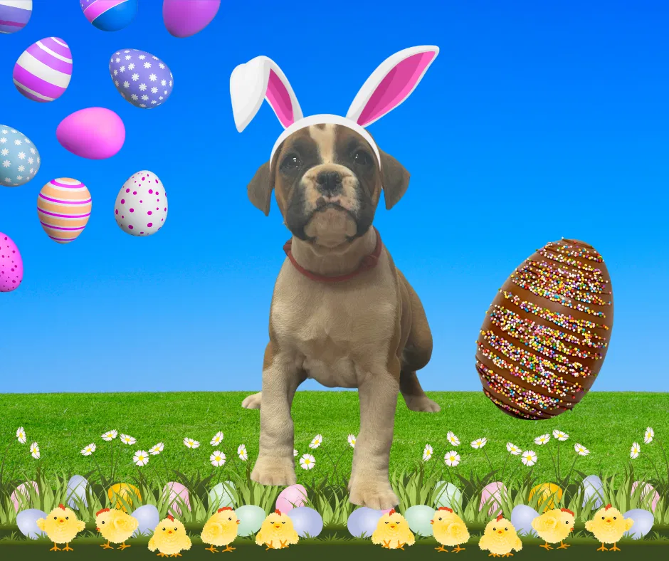 Now living in Perth, Western Australia!