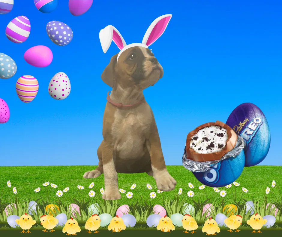 Now living in Bendigo, Victoria!