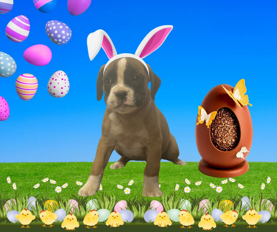 Now living in Darwin, Northern Territory!