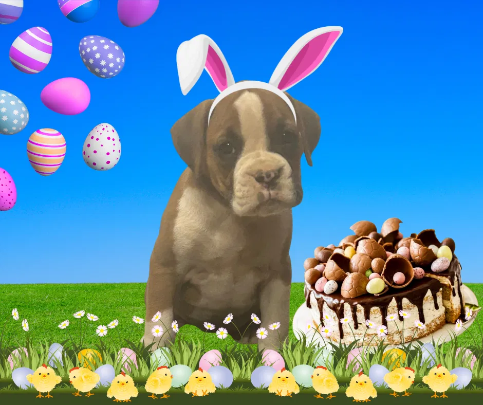 Now living in Wollongong, New South Wales!