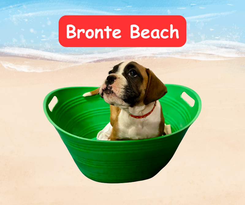 Now living in Melbourne, Victoria!