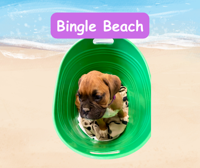 Now living in Echuca, Victoria!