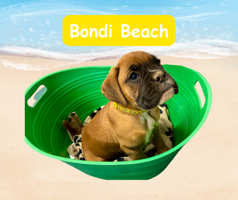 Now living in Melbourne, Victoria!