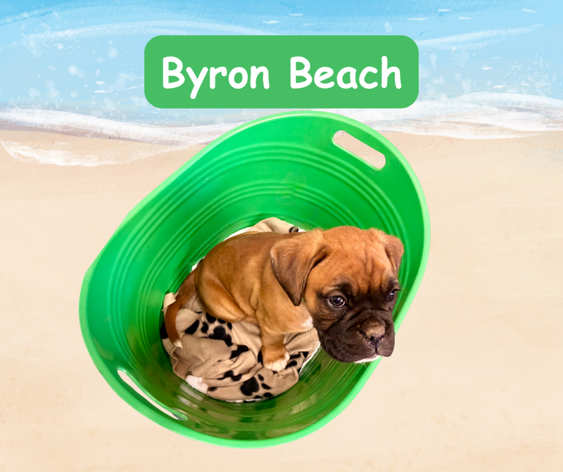 Now living in Mount Martha, Victoria!