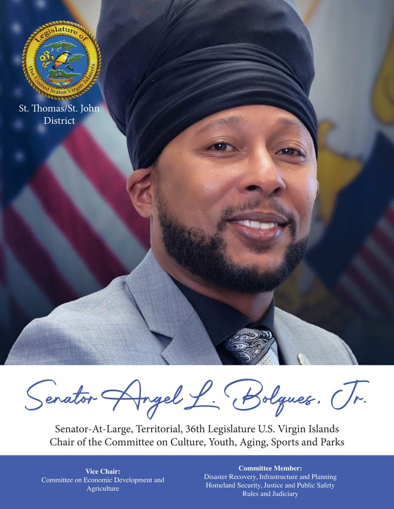 Senator At Large Angel Bolques Jr. 100 Day Report - 2025